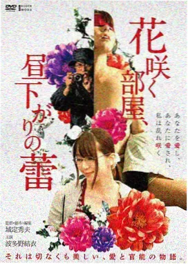 云上归途剧集封面